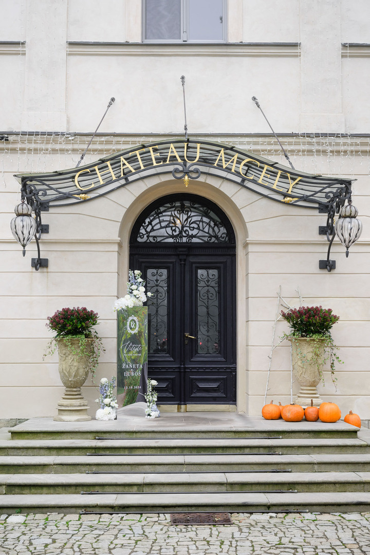 chateau Mcely entrance