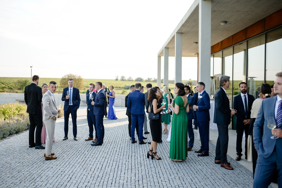 Wedding guests in formal attire socialize outdoors at Obelisk Winery.